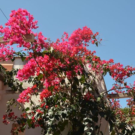 Villa Teti - Sicilia Campofelice Di Roccella Ngoại thất bức ảnh