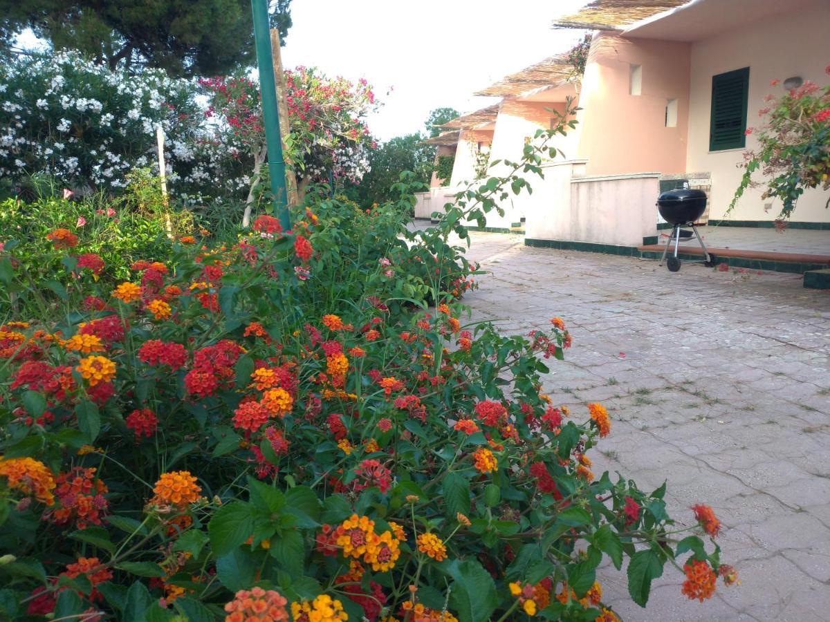 Villa Teti - Sicilia Campofelice Di Roccella Ngoại thất bức ảnh