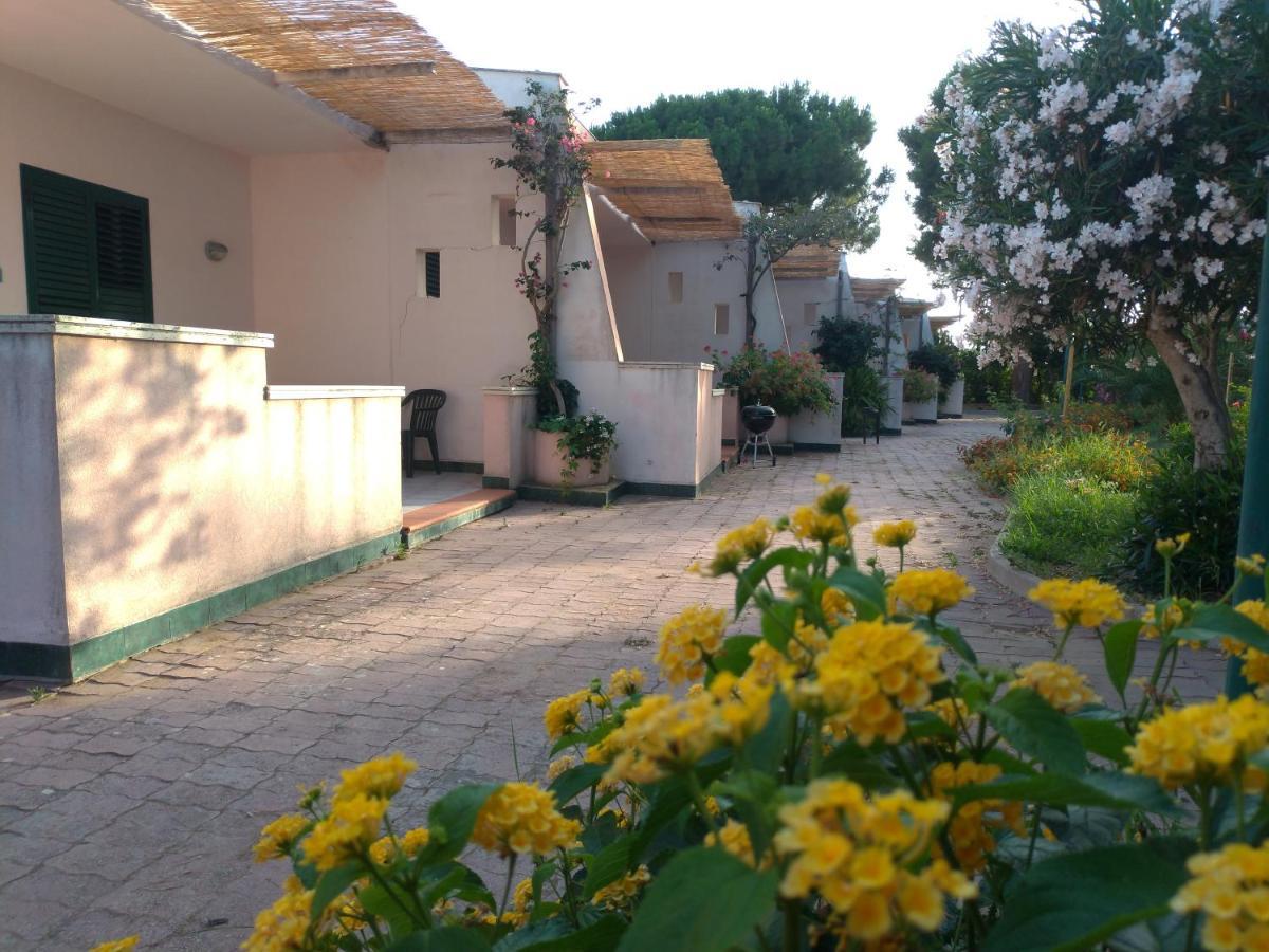 Villa Teti - Sicilia Campofelice Di Roccella Ngoại thất bức ảnh