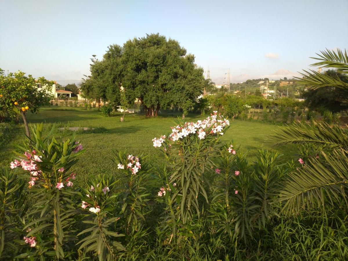 Villa Teti - Sicilia Campofelice Di Roccella Ngoại thất bức ảnh
