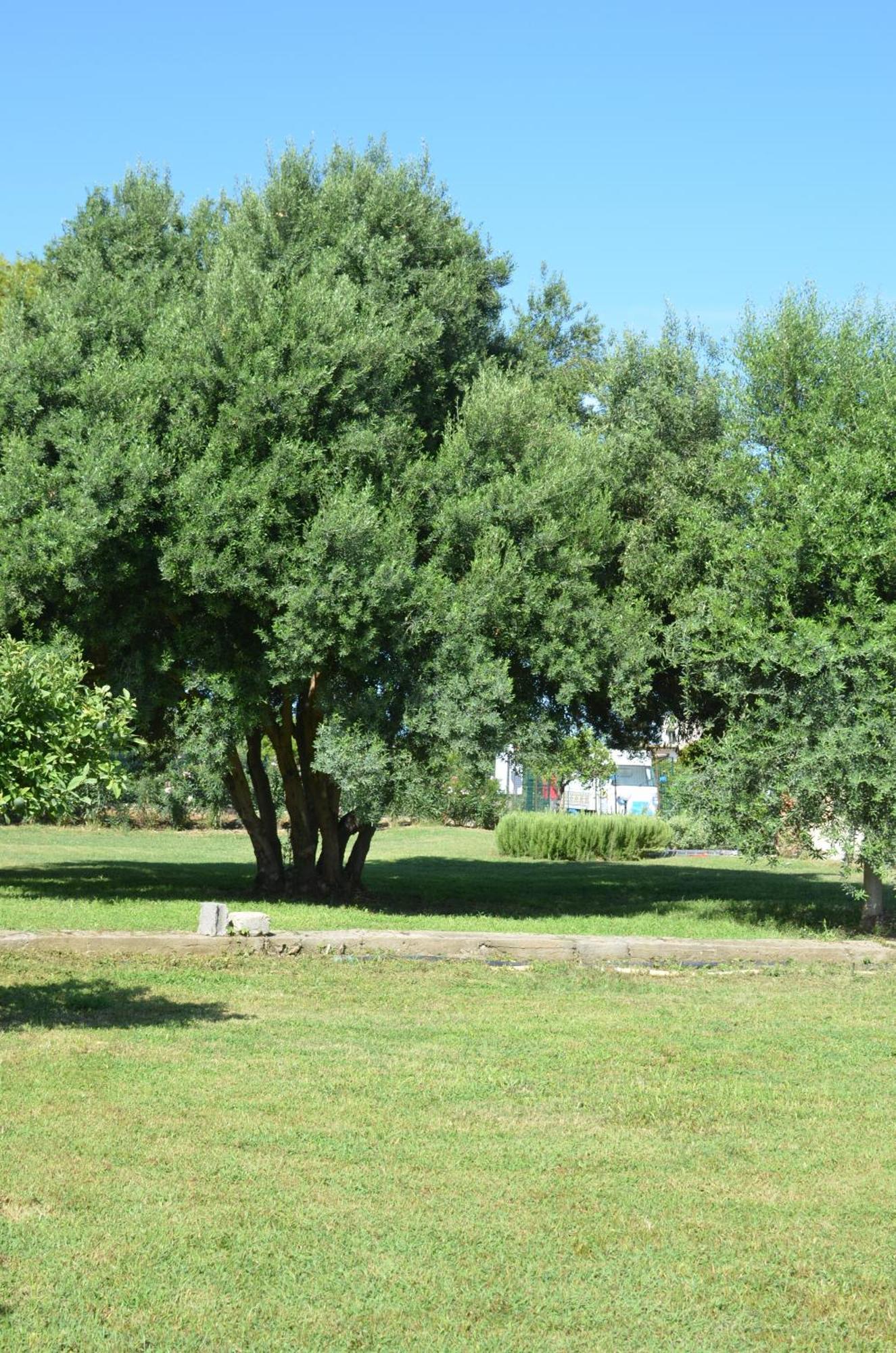 Villa Teti - Sicilia Campofelice Di Roccella Ngoại thất bức ảnh